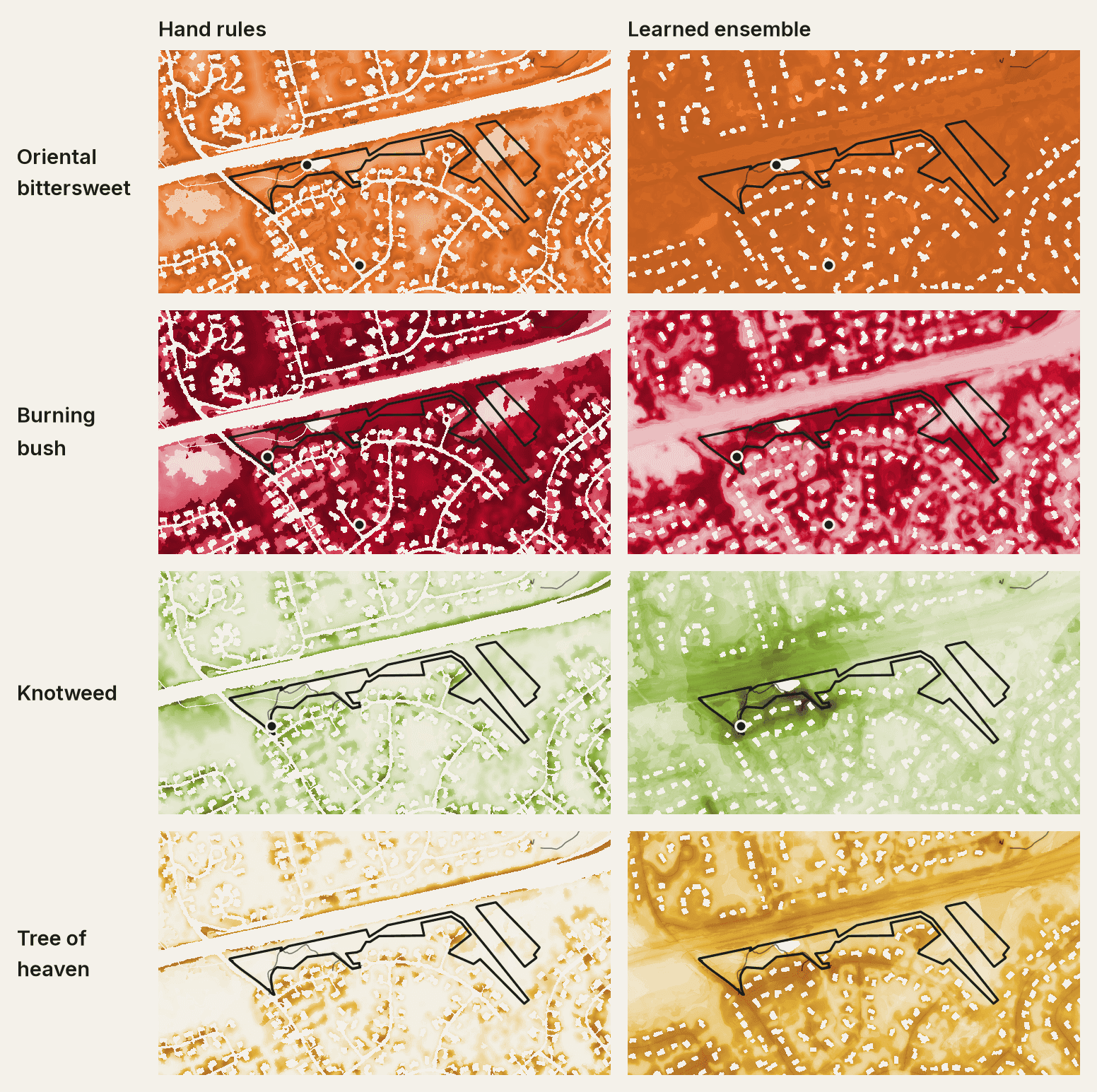 Eight maps of Turning Mill Pond in four rows, one per species: hand-rule suitability on the left, learned suitability on the right.